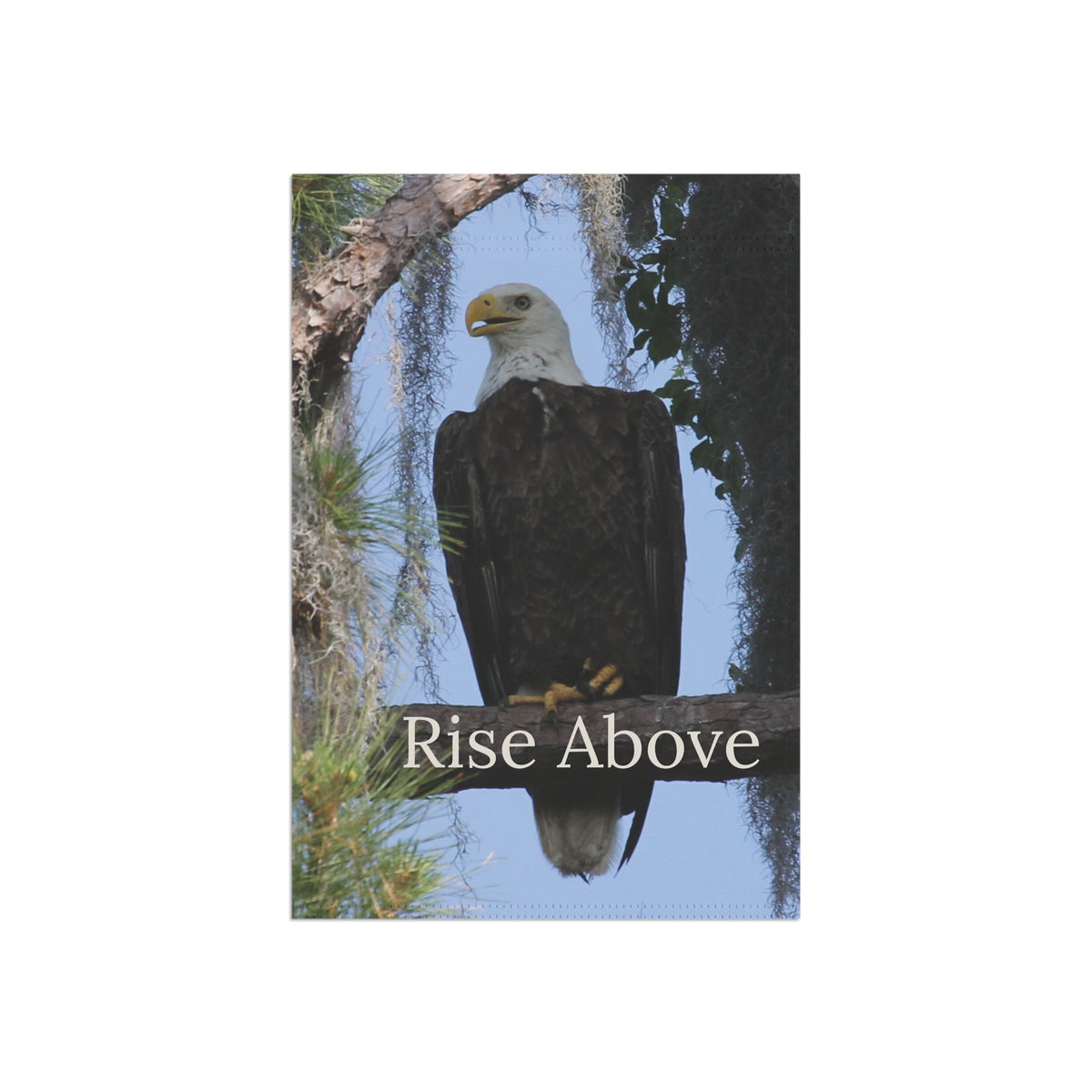 Bald Eagle Garden Flag